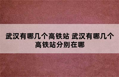 武汉有哪几个高铁站 武汉有哪几个高铁站分别在哪